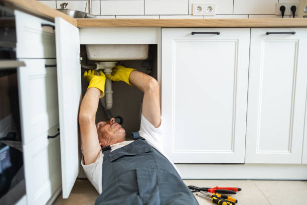 Best Plumbing Inspection Services  in Ele, AR